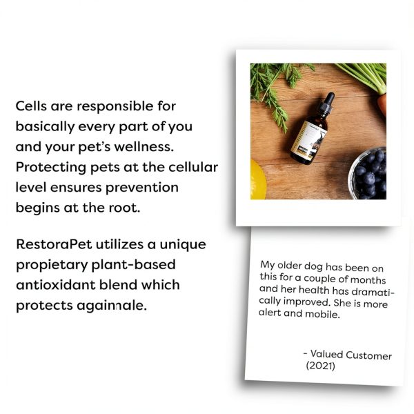 RestoraPet AM Antioxidant Supplement by RejuvaPet-1
