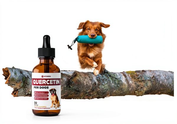 iVitamins Quercetin Liquid Dog Supplement Allergy Immune-1