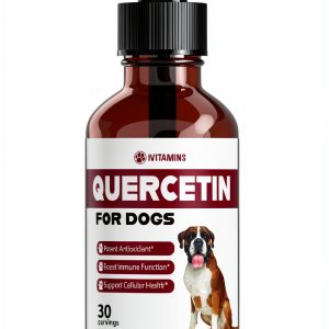 iVitamins Quercetin Liquid Dog Supplement Allergy Immune-0