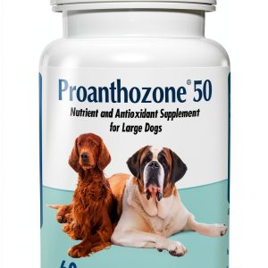 Pavo Dog Antioxidant Supplement for Canine Health Support-0