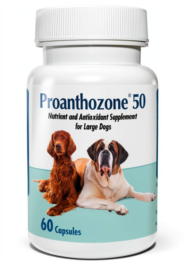 Pavo Dog Antioxidant Supplement for Canine Health Support-0