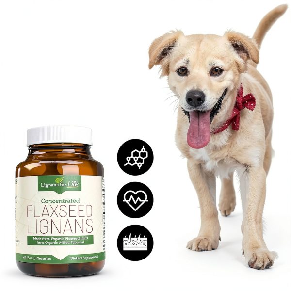 Lignans for Life Flaxseed Supplement for Dogs and People-3