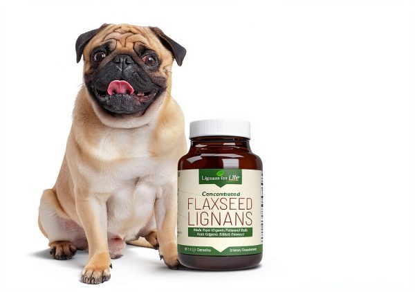 Lignans for Life Flaxseed Supplement for Dogs and People-1