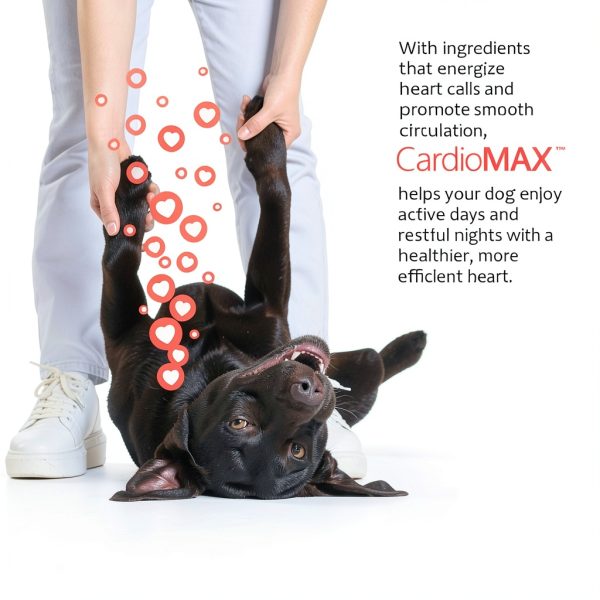 CardioMAX Dog Heart Supplement Advanced Support-4