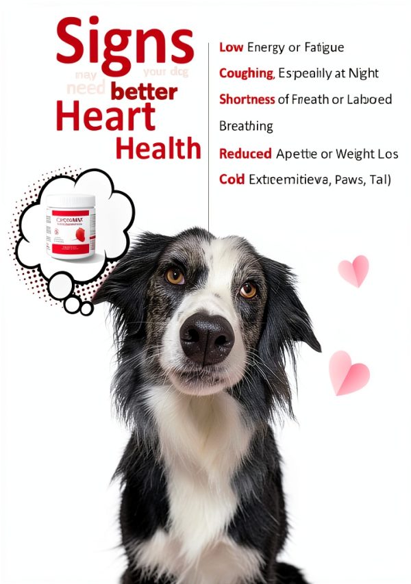 CardioMAX Dog Heart Supplement Advanced Support-1