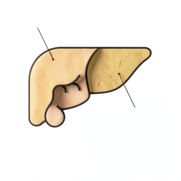 FoodScience SAMe Liver Health Supplement for Dogs and Cats-4