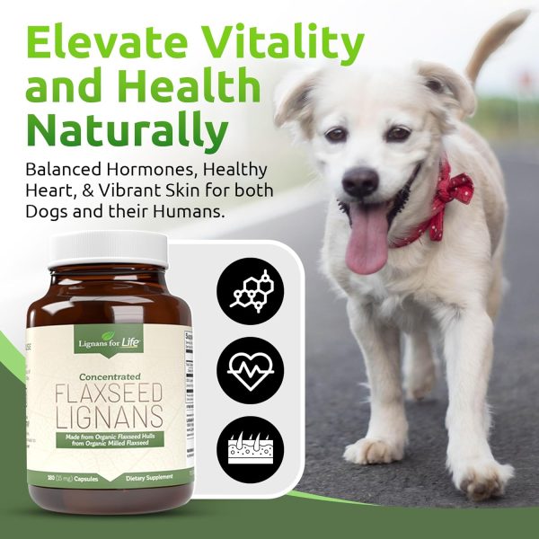 Lignans for Life Organic Flaxseed Capsules for Dogs-2