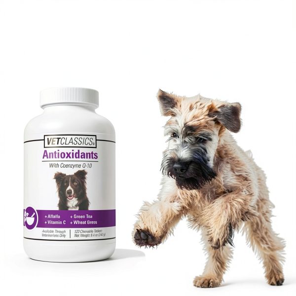 Antioxidant Supplement Vet Classics for Dogs-2