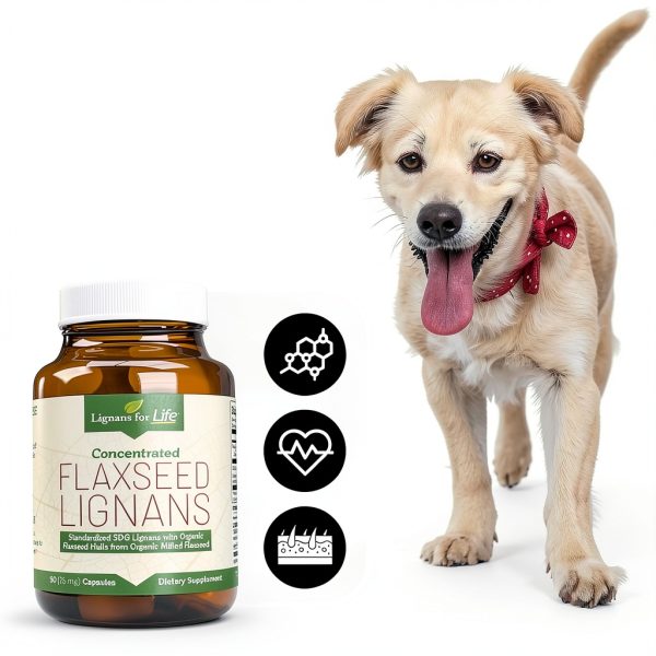 Lignans for Life Flaxseed Supplement for Dogs Heart Health-2
