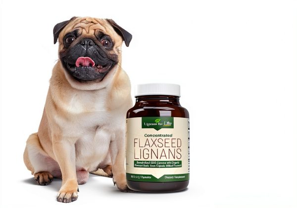 Lignans for Life Flaxseed Supplement for Dogs Heart Health-1