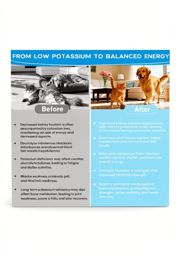 Ourea Renal K Potassium Supplement for Dogs and Cats-4