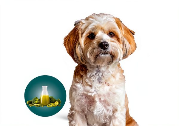 RestoraPet AM Antioxidant Supplement by RejuvaPet-4
