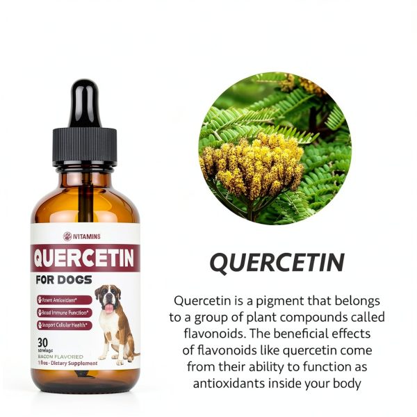 iVitamins Quercetin Liquid Dog Supplement Allergy Immune-4