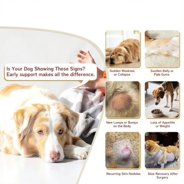 Qanoreth Dog Mushroom Supplement Immune Support-2