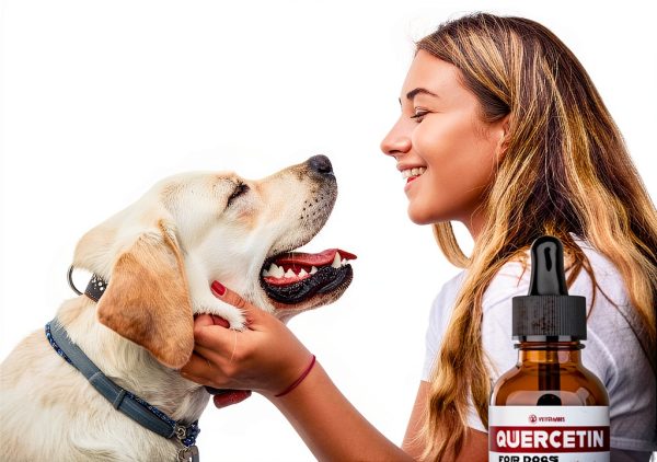 iVitamins Quercetin Liquid Dog Supplement Allergy Immune-2
