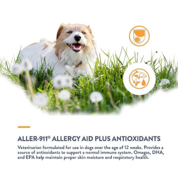 NaturVet Allergy Aid Soft Chews for Dogs Cats Supplement-3