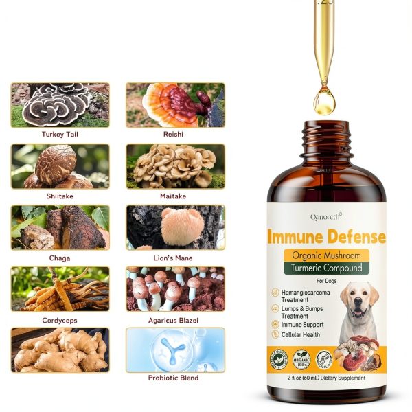 Qanoreth Dog Mushroom Supplement Immune Support-3